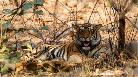 Top 20 Indian getaways to end 2024 with unforgettable … - balustradellc