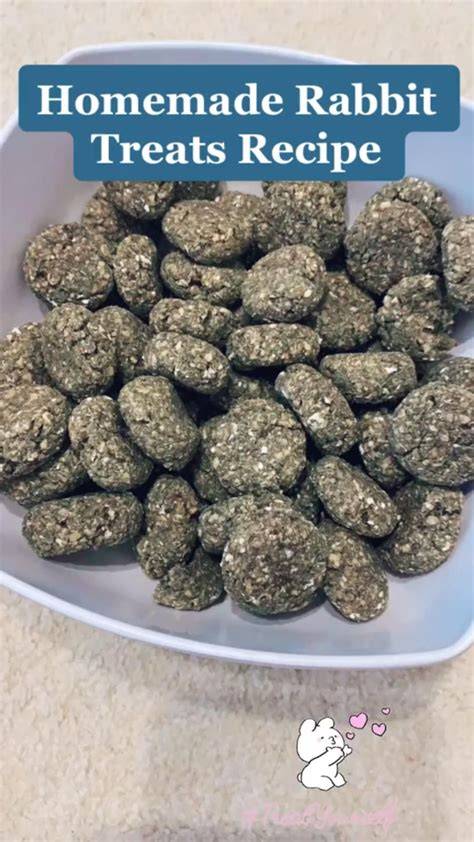 Top 3 Rabbit Treats to Make at Home - Andy by … - raincitystudios.com
