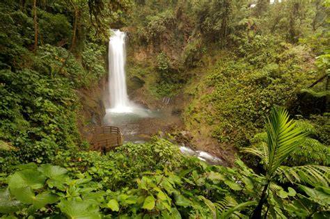 Top 4 Costa Rica Cloud Forest Destinations - raincitystudios.com