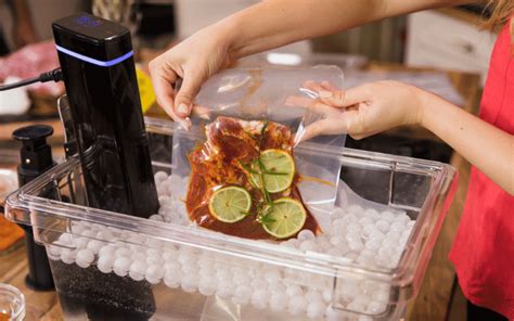 TOP 5 Best Sous Vide Machines - Best Sous Vide Machine/Cooker Review ... - balustradellc