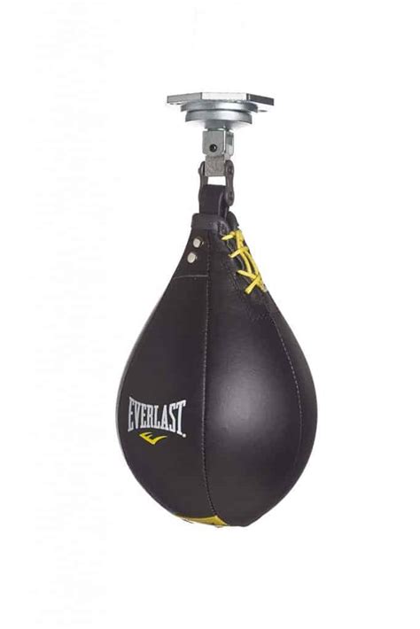 Top 5 Best Speed Bags - balustradellc