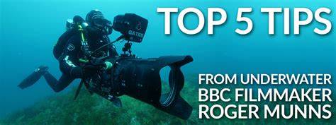 Top 5 Tips From a BBC Underwater Filmmaker - Backscatter - raincitystudios.com