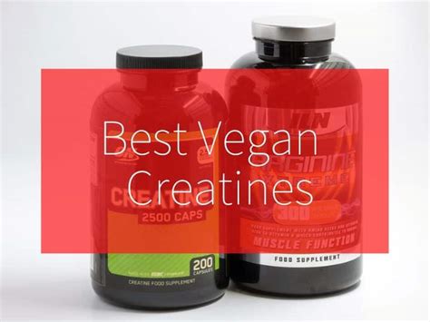 Top 5 Vegan Creatine Supplements: Buyer’s Guide - balustradellc