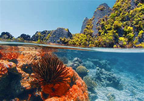 Top 5 viral destinations that could lose their charm due to mass ... - balustradellc