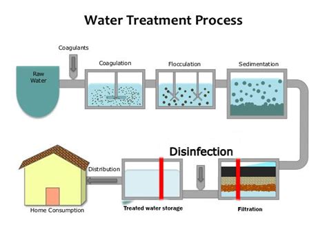 Top 5 Water Purification Devices and Water Filters: … - balustradellc
