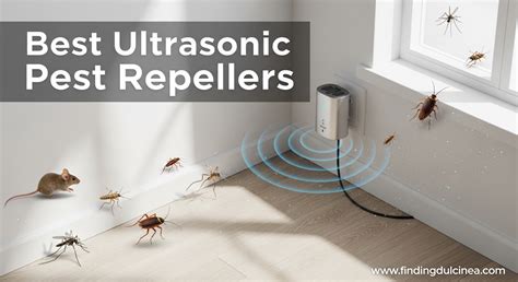 Top 6 Best Ultrasonic Pest Repellers - Today's … - raincitystudios.com