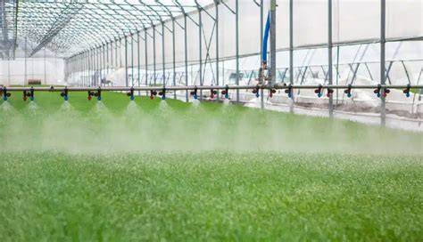Top 6 Most Popular Irrigation Systems for Commercial … - raincitystudios.com