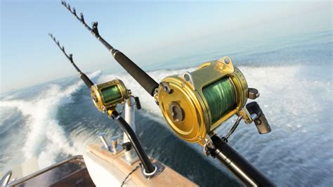 Top 6 Strongest Fishing Rods [Mar 2026] Reviews - balustradellc