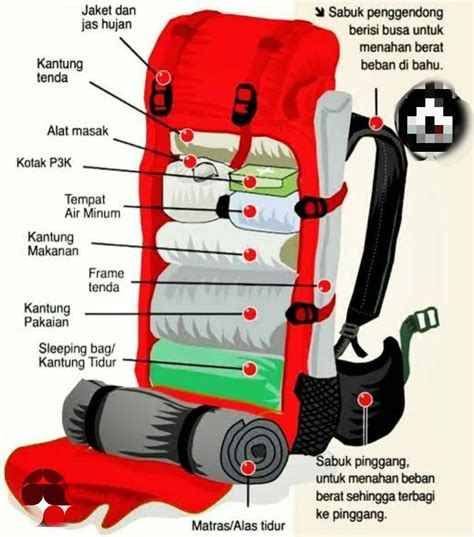 Top 7+ Tips Packing Carrier yang Benar Agar Nyaman - balustradellc