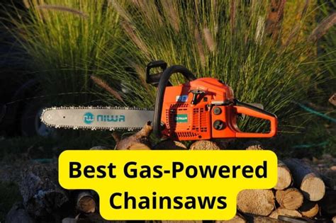 Top 7 Best Gas Chainsaws (2024) - Reviews by … - balustradellc