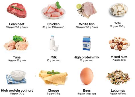 Top 7 High Protein Foods for a Healthy Body - balustradellc