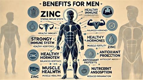 Top 7 Zinc Benefits For Men - balustradellc