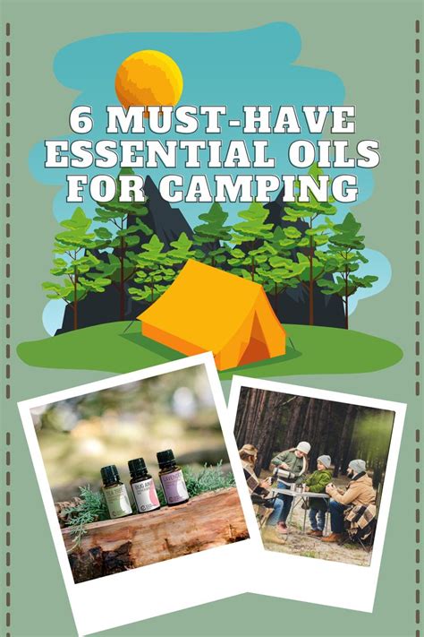 Top 8 Essential Oils for Camping and Outdoors - balustradellc