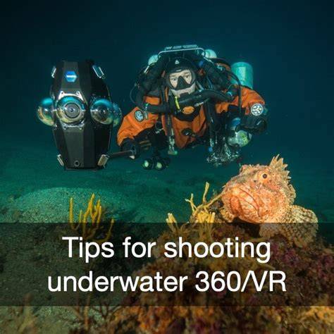Top 8 tips for shooting underwater 360/VR videos and photos - raincitystudios.com