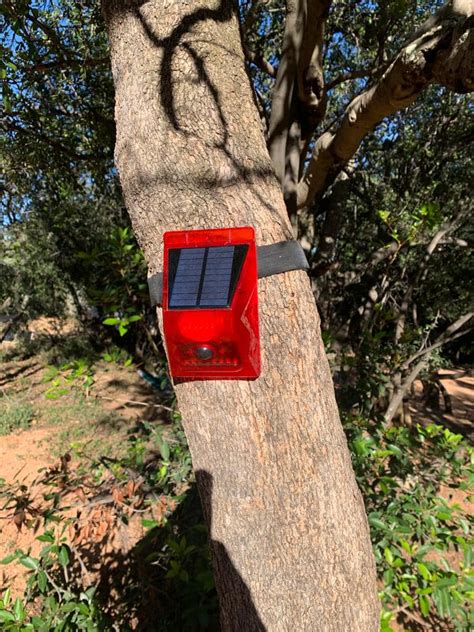 Top Camping Alarm Systems for Wild Camping: Stay … - balustradellc
