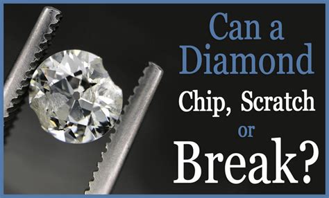 TOP DIAMOND chip grup facebook & hapus akun referensi bokep info terbaru kualitas siap kirim Domino Market ubah pin Spin gratis setiap jam sekarang langsung image 1