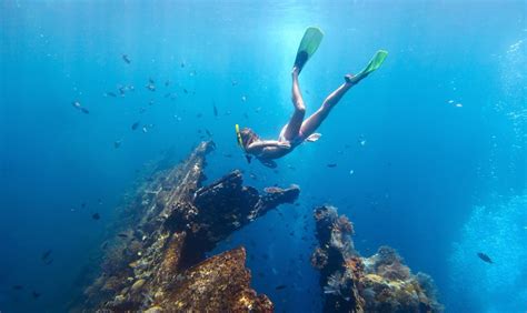 Top dive sites in Indonesia | PADI - balustradellc