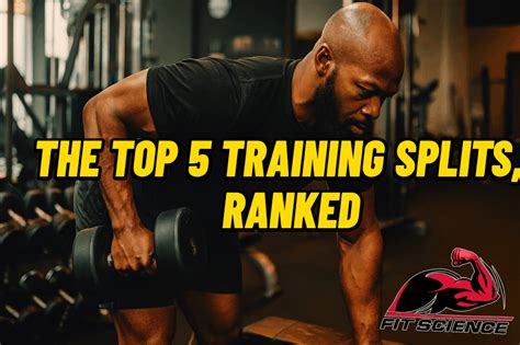 Top Effective Training Splits for Bodybuilders - Iron … - balustradellc