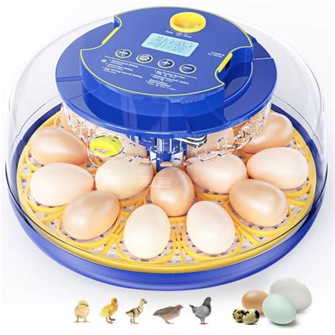 Top Egg Incubator of 2026 Reviewed and Compared … - balustradellc