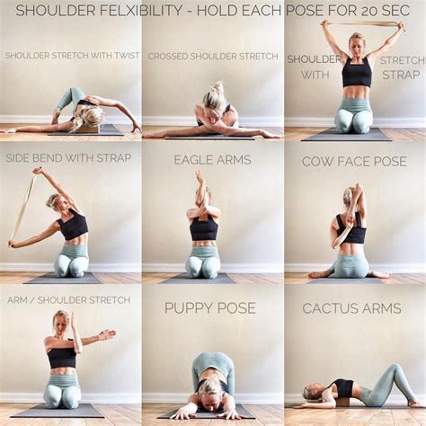 Top Exercises for Shoulder Strengthening and Flexibility - balustradellc