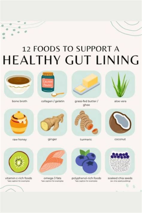 Top Foods That Help Seal the Gut Lining Naturally - balustradellc