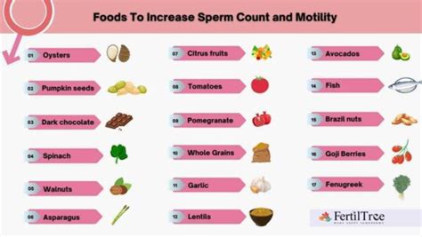 Top Foods to Boost Sperm Count and Motility Naturally - balustradellc