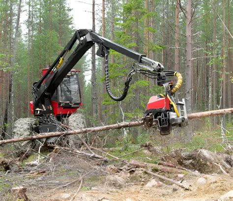 Top Forestry Equipment for Efficient Logging Operations: A ... - balustradellc