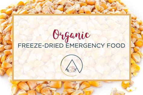 Top Freeze-Dried Food Companies for Emergency Prepping - balustradellc