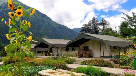Top Luxury Camping Spots in India for Nature Lovers - balustradellc