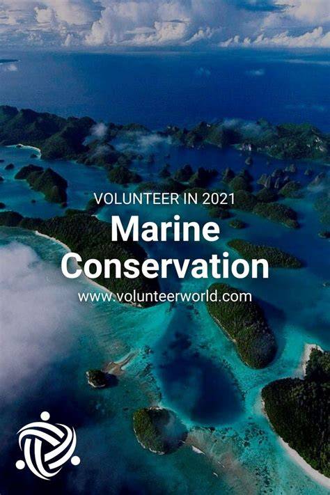 Top Marine Conservation Volunteer Programs 2026 | MRCI - raincitystudios.com