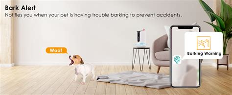 Top Pet Camera Apps for Pet Owners Traveling Abroad - balustradellc