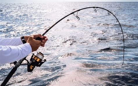 Top Picks for Best Saltwater Fishing Rods in 2026 - balustradellc