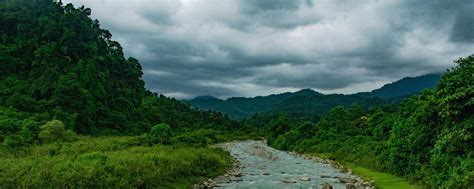 Top Places to Visit: India's Scenic Tea Plantations - balustradellc