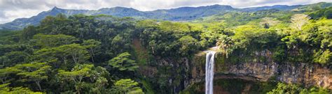 Top Rainforest Tours, Jungle Trips & Travel Packages... - balustradellc