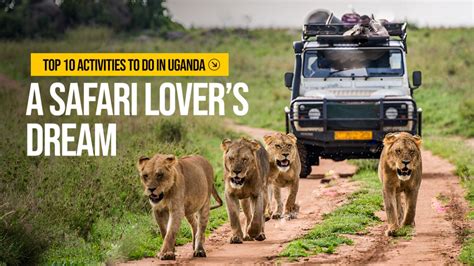 Top Safari Activities in Uganda - balustradellc