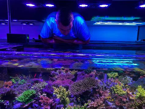 Top Shelf Aquatics - Live Corals, Aquariums Supplies and more - wintechmobiles.com