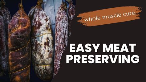 Top Tips for Preserving Raw Meat Without a Refrigerator - balustradellc