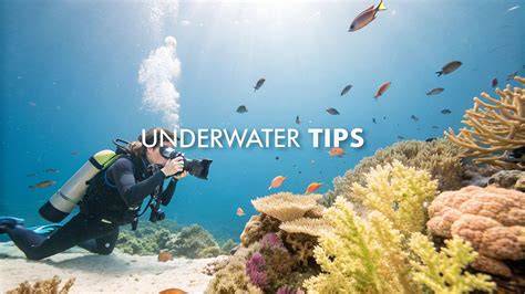Top Underwater Photography Tips for Stunning Shots … - raincitystudios.com