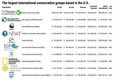 TOP US Conservation Organizations - raincitystudios.com