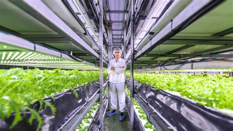 Top Vertical Farming Companies Using AI & Automation in 2026 - balustradellc