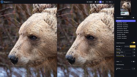 Topaz Labs | Professional-grade photo and video editing powered by AI. - balustradellc