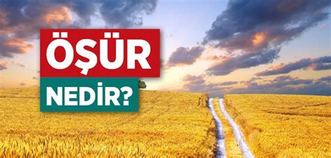 TOPRAK ÜRÜNLERİNİN ZEKATI – .