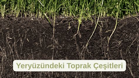 toprak - Wiktionary, the free dictionary - coolestguyplanet.net