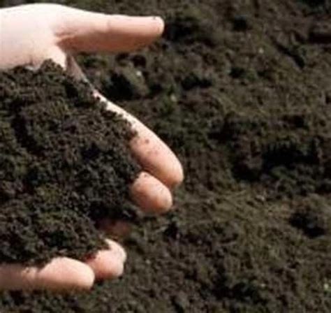 TOPRAK ORGANİZMALARI. 