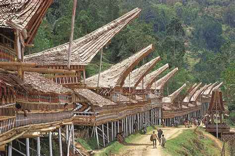Toraja | Traditional Culture, Funeral Rites & Animism - wintechmobiles.com