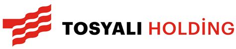 TOSYALI HOLDING TOSYALI FOR A REPORT 2021. 