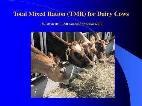 Total Mixed Ration (TMR) Feeding for Dairy Cows - raincitystudios.com
