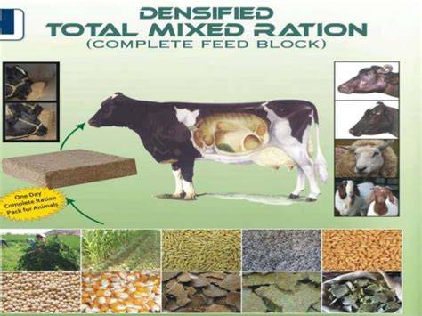 Total Mixed Rations (TMR) - BvL Farmtechnology - raincitystudios.com