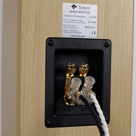 Totem Acoustic Bison Monitor Bookshelf Speakers … - balustradellc