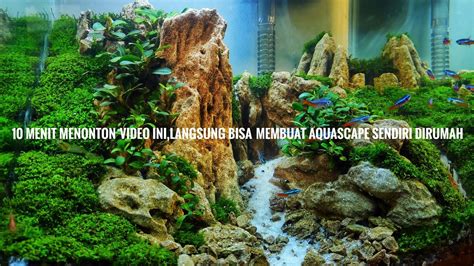 Totorial cara membuat aquascape untuk pemula - balustradellc